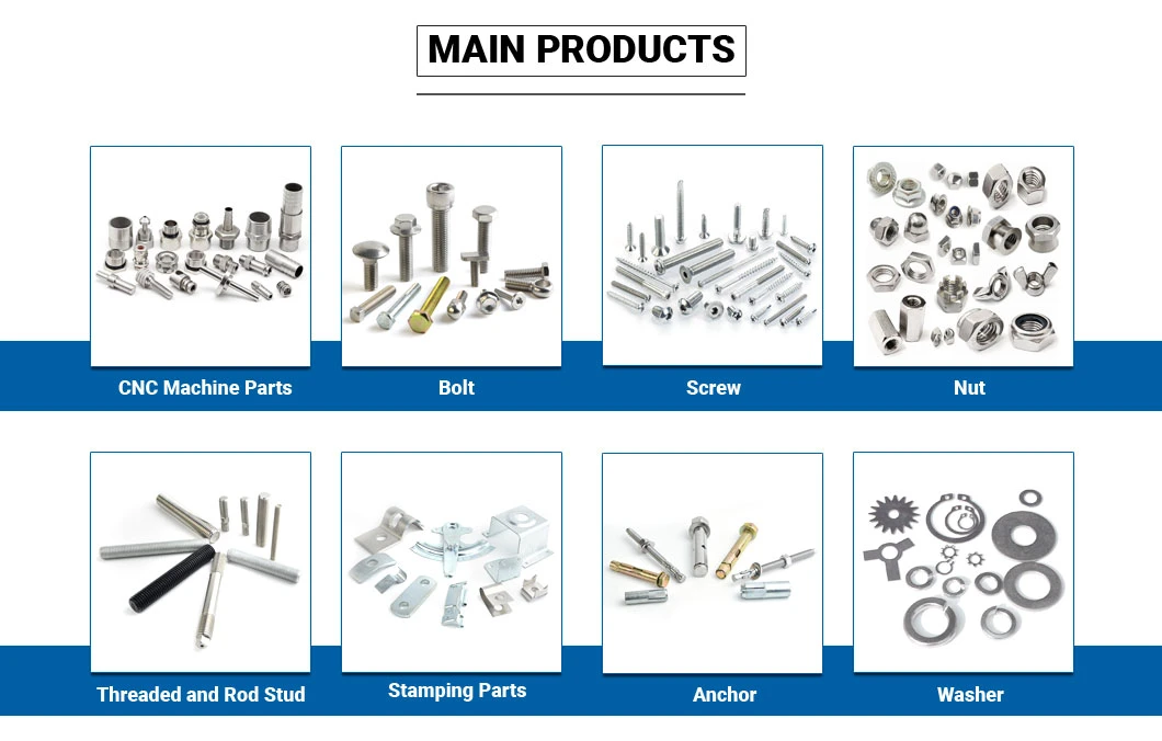 M6-M24 Ss 304 Concrete Anchors Wedge Anchor Bolt